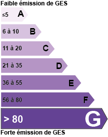  diagnostic de performance énergétique G - Viager Conseils 