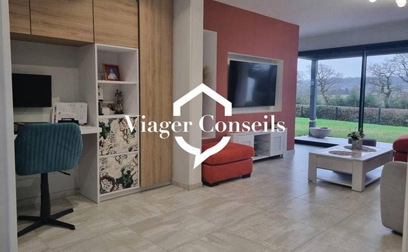 Viager conseils