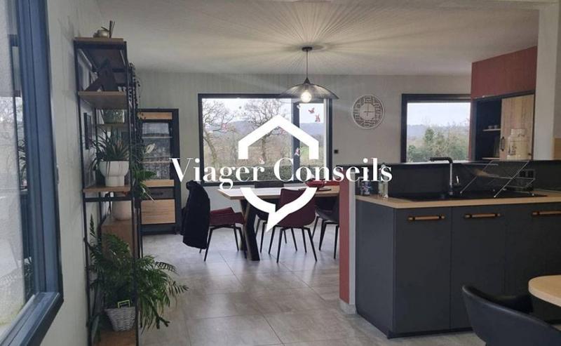 Viager conseils