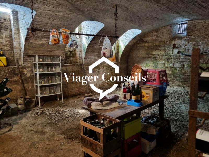 Viager conseils
