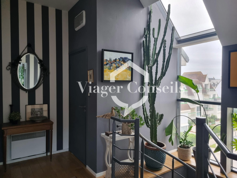 Viager conseils