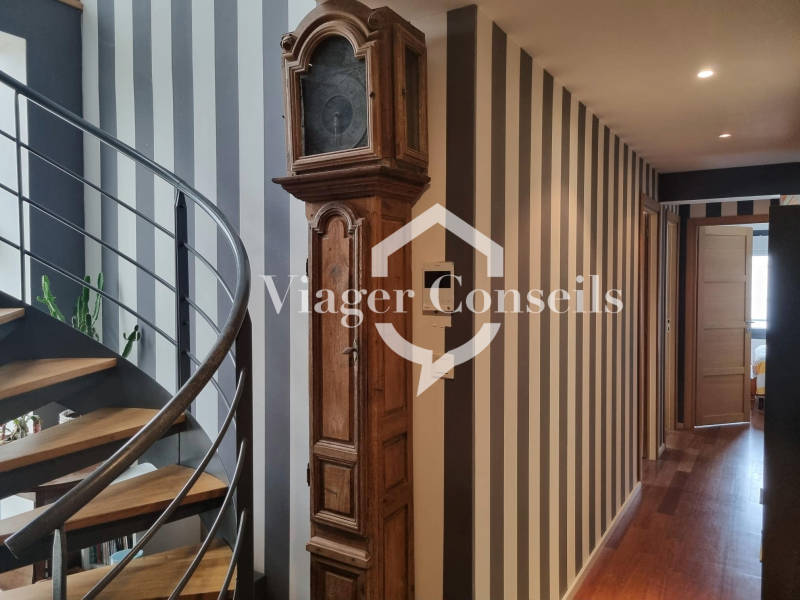 Viager conseils